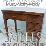 How To Get Musty Smell Out Of Old Kitchen Cabinets